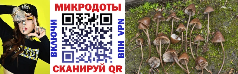 даркнет сайт  Бахчисарай  Псилоцибиновые грибы GOLDEN TEACHER 